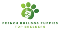 french Bulldog Puppies For Sale